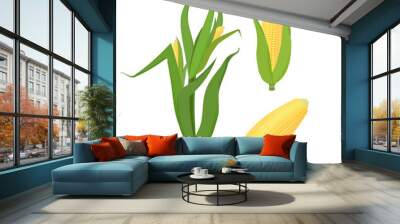 A set of vector illustrations of corn-a stalk and two types of cobs. A ripe sweet cereal plant. Isolated on a white background. Wall mural