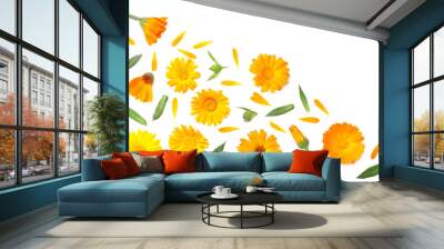 marigold flowers with green leaf isolated on white background. calendula flower. top view Wall mural