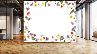 Composition pattern from plants, wild flowers and red berries, isolated on white background, flat lay, top view. The concept of summer, spring, Mother's Day, March 8. Frame of flowers and berries. Wall mural