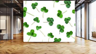 Green clover, the symbol of the holiday St. patrick's day. Seamless pattern of clover leaves isolated on white background, top view, flat lay. Wall mural