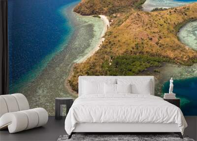 tropical island with coral reefs. Philippine Islands in clear weather aerial view.Philippines, Palawan Wall mural