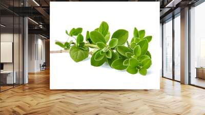 Oregano or marjoram leaves isolated on white background Wall mural