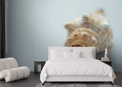 Blurred close up sea shell on grey background. Minimalism and simplicity. Wall mural