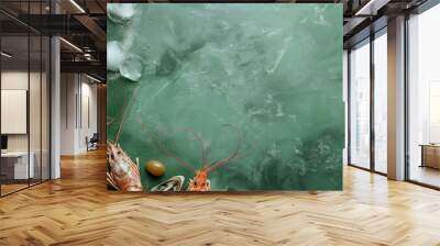 fresh seafood composition with prawns, olives, and ice cubes on green textured surface, top view. marine food concept with shellfish and cold elements Wall mural