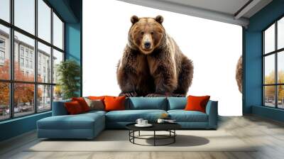 Set of bears isolated on transparent background. Generated Ai. Wall mural