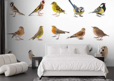 Set of small song birds isolated on white background Wall mural