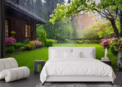 The Beauty of Spring: Rain in the Yard and a Beautiful Lawn Wall mural