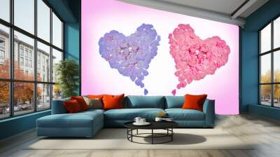 two hearts made of petals and rose flowers isolated on white for valentine's day project .Mother DAY background.Mother's day.Valentines day.Valentine card.Valentine hearts together. Wall mural