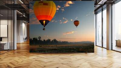 Two hot air balloons are flying in the sky above a field Wall mural