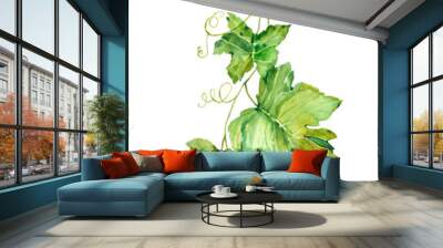 Watercolor illustration Wall mural