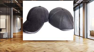 velveteen sports cap and black leather cap Wall mural