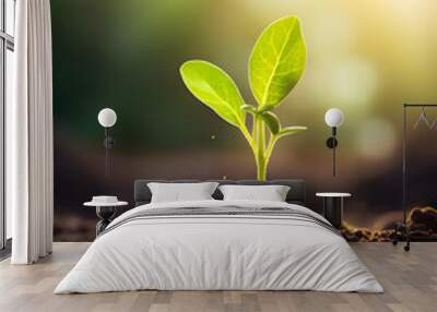 A young plant seedling growing in the soil, blurry green sunlight background  Wall mural