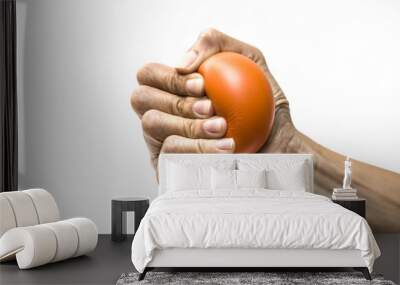 Hands of a woman squeezing a stress ball Wall mural