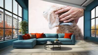 woman wearing a collar band for dog, kill and repel tick and flea Wall mural