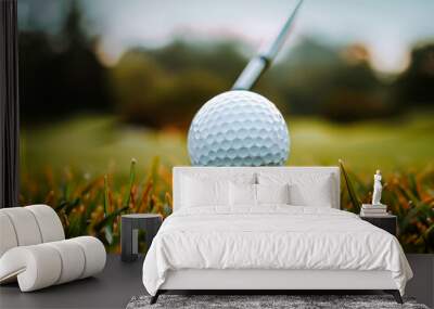 Golf ball on green grass ready to be shot into the hole Wall mural