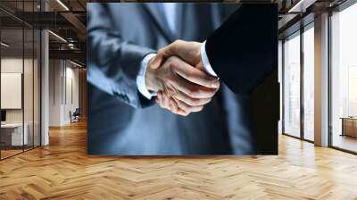 Handshake - Hand holding on black background Wall mural