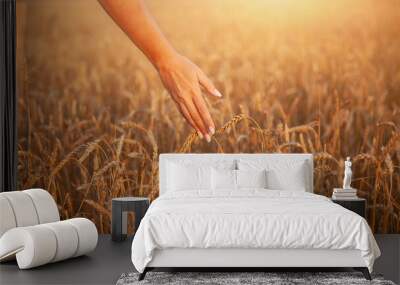 A woman's hand touches wheat ears in a field, a field in the golden light of the sunset. The concept of harvesting. Wall mural