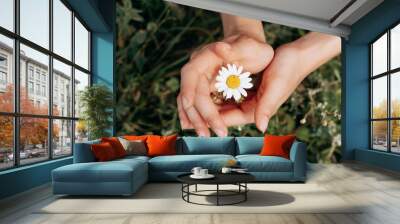 Close-up of women's hands holding a daisy in a meadow.Summer, nature, beauty, slow life concept. Wall mural