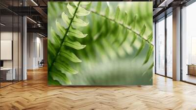 Fern leaves close-up.Abstract natural background.Urban jungle concept.Biophilic design.Selective focus. Wall mural