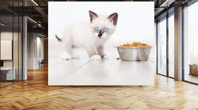 Kitten eating food from bowl Wall mural