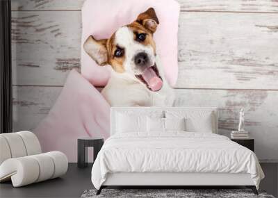 Sleeping puppy on dog bed Wall mural