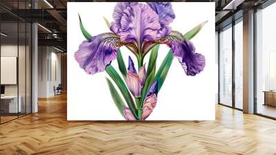 Isolated illustration of Iris flower Wall mural