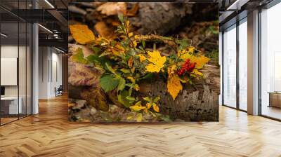 On the trunk of an old tree is a wreath of autumn leaves, berries and fruits Wall mural