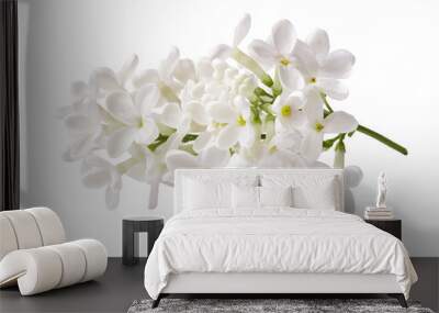 Branch of white lilac flowers isolated on white background. Wall mural