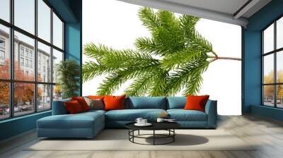 Christmas tree branch. Wall mural