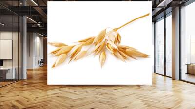 Ears of oats isolated on white background. Oat plant for package design. Wall mural