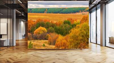 Picturesque autumn landscape in green and yellow colors. Panoramic view from hill to lowland with grove and field in cloudy day. Colorful autumnal nature, beautiful natural background Wall mural