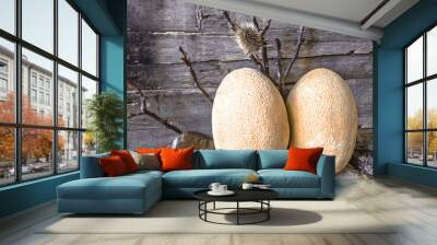 Two ripe melon  with branches and stones on a background of an old wooden board



 Wall mural