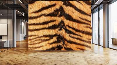 black stripes on tiger pelt Wall mural