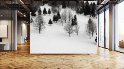 forest in winter Wall mural