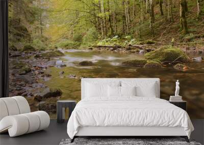 mountain river close up Wall mural