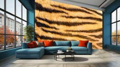 wild feline  textured fur Wall mural