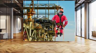 Rope access maintenance worker wearing safety harness hard hat working, rope access Abseiling from a height at height to use construction site Wall mural