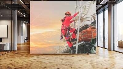 Worker on fixed ladder, Rope access Safety concept in shipyard worker wearing equipment protective full safety harness, at high places on side ship cargo ship during ship maintenance in shipyard. Wall mural