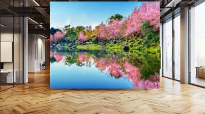 Beautiful cherry blossoms trees blooming in spring. Wall mural