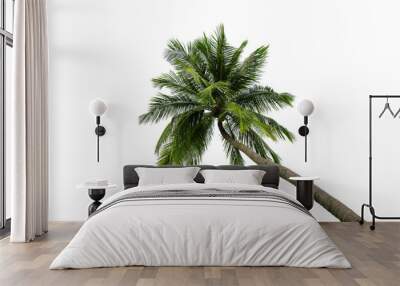 Coconut tree isolated on white background Wall mural