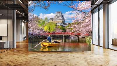 Himeji castle and cherry blossoms in spring, Japan. Wall mural