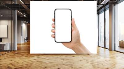 Male hand holding smartphone with blank screen isolated on white background. Wall mural