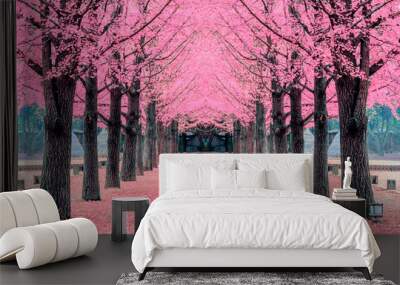 Pink tree,Nami Island in Korea Wall mural