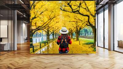 Woman traveler with backpack walking in Row of yellow ginkgo tree in autumn. Autumn park in Tokyo, Japan. Wall mural