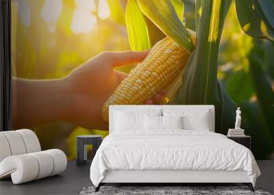 Detailed shot of a hand plucking a fresh corn cob, with the sun shining through the leaves, rich textures of the corn and husk illuminated by daylight, natural and crisp mood Wall mural