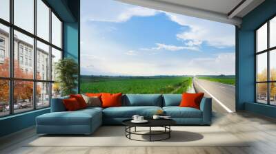 Asphalt road in countryside on beautiful day Wall mural