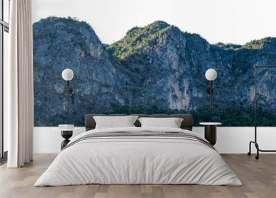 Rocky mountain with green forest at Loei Province, Thailand, isolated on white background. Wall mural