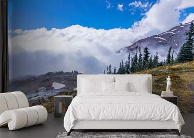 Meadows and pine trees in front of snowy mountains Wall mural