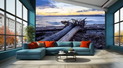 two driftwood logs at sunset Wall mural