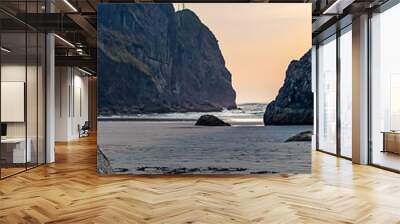 vertical of sun and rock formations at ruby beach Wall mural